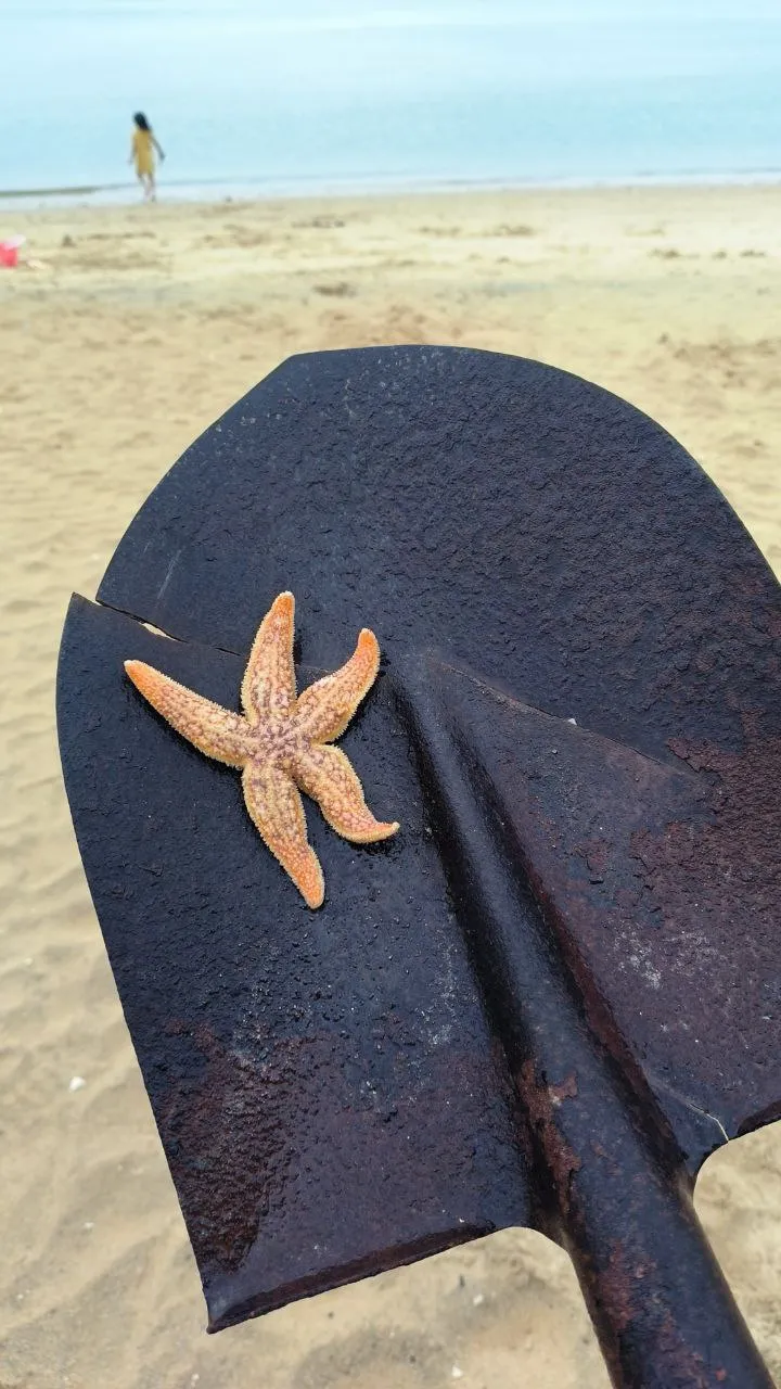 star